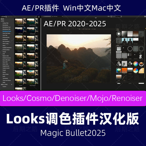 AE/PR插件looks20256调色视频预设汉化MagicBullet滤镜素材winmac