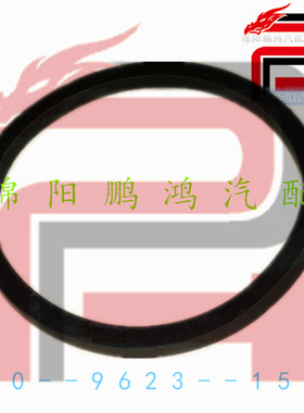 Pho金杯智尚S30S35英致G3广汽中兴C3GX3燃油泵密封圈汽油箱泵胶垫