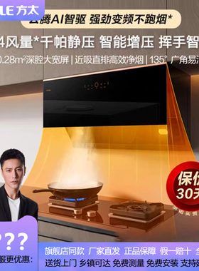 方太抽油烟机JCD15T+TH29B大吸力家用厨房烟灶套装京东同款JCD16T