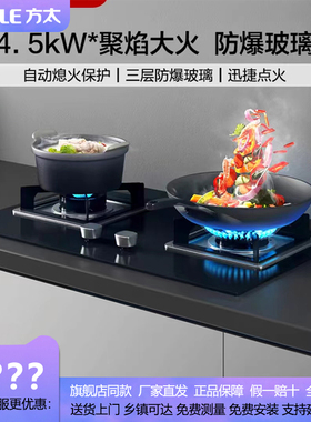 Fotile/方太 TH31B/ 02-TH31B/TH29B/TH71B燃气灶家用天然气灶小