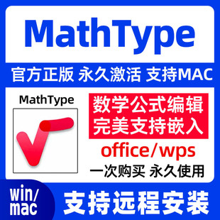 MathType7数学公式编辑器 mathtype永久激活6.9远程安装支持wps