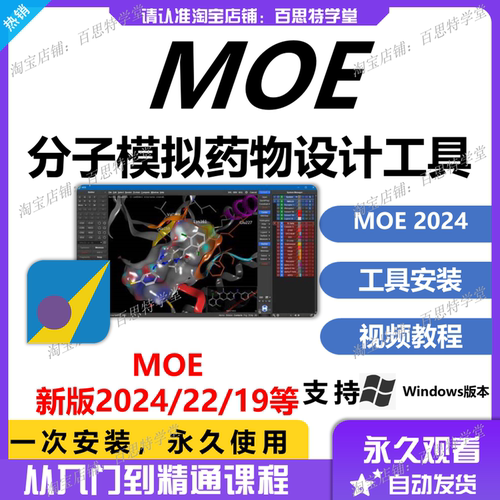 分子模拟软件 MOE 2024/2022/2019 附带许可证 远程安装服务 Win