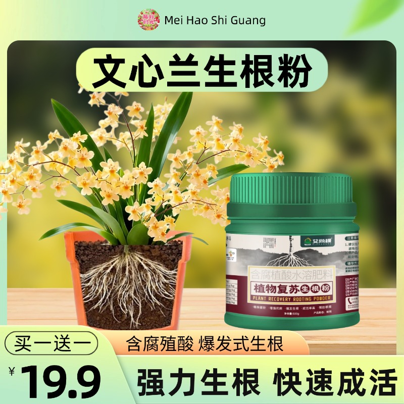 文心兰专用生根粉快速生根壮苗剂花卉植物通用型生根粉生根壮苗