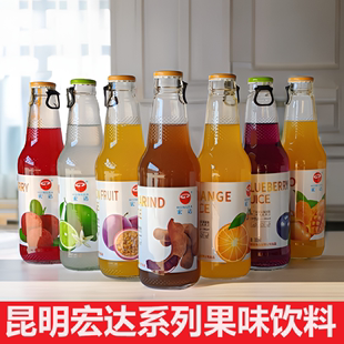 宏达果汁饮料酸角芒果百香果柠檬杨梅云南特产休闲饮料瓶装 整箱