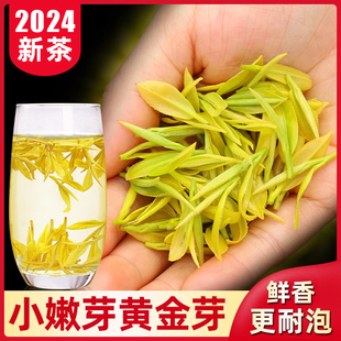 黄金芽2024年新茶安吉特级珍稀白茶高端黄金牙茶叶礼盒官方旗舰店