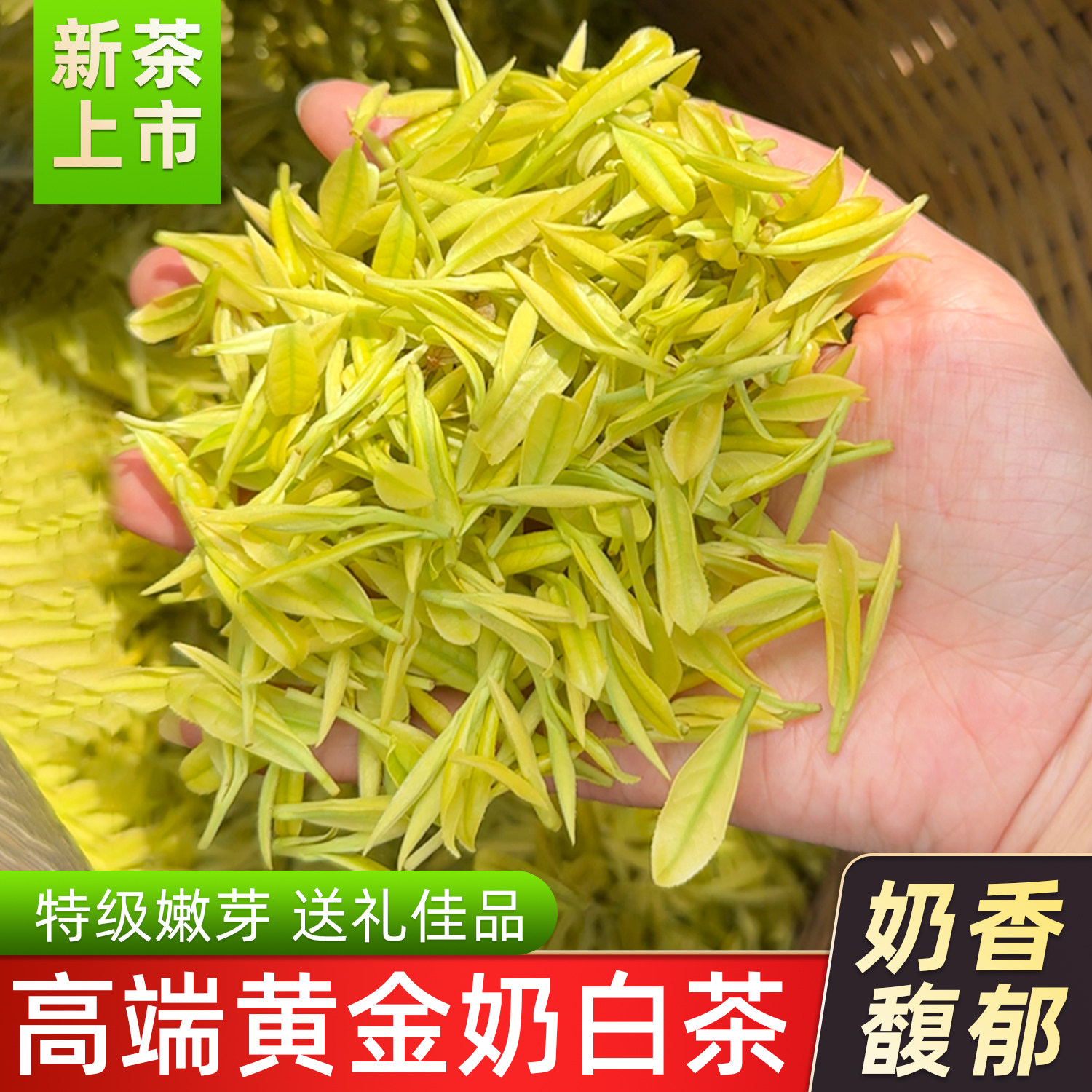 2026新茶黄金奶白茶特级高端上等黄金芽安吉熊猫奶白茶官方旗舰店