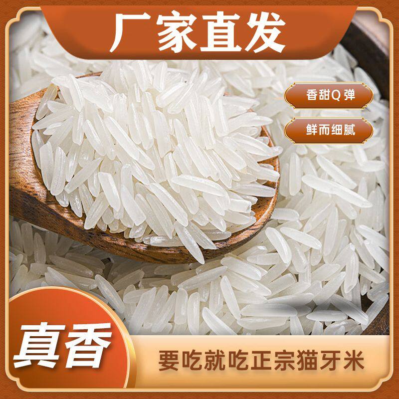 【优选好米】猫牙米新大米新米纯天然长粒香米蛋炒饭细长款大米