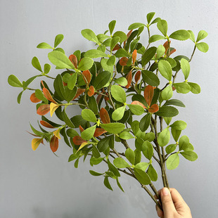 仿真叶子海岛春花马醉木客厅绿植酒店造景假植吊钟叶海岛春花叶