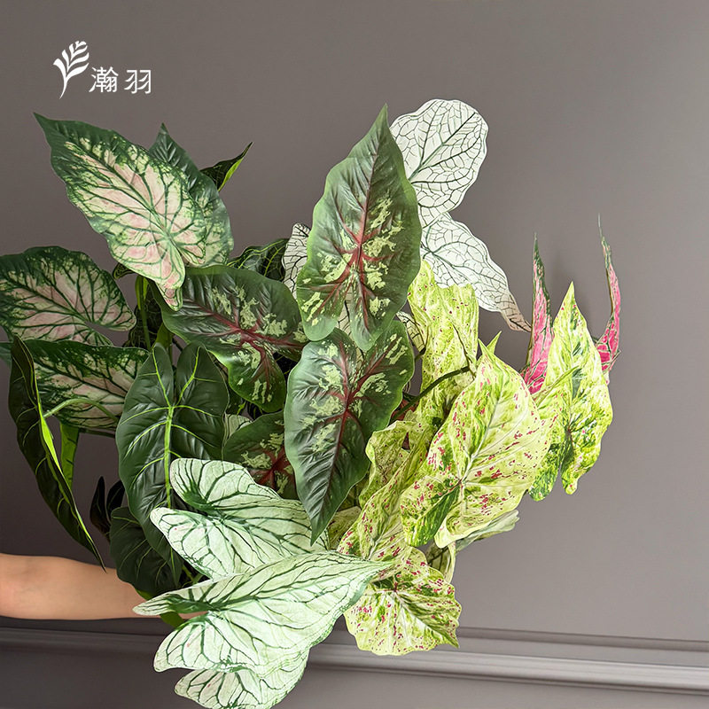 5叉海芋叶仿真绿植 绿叶婚礼插花造景植物叶材树叶商场婚礼堂布景图片