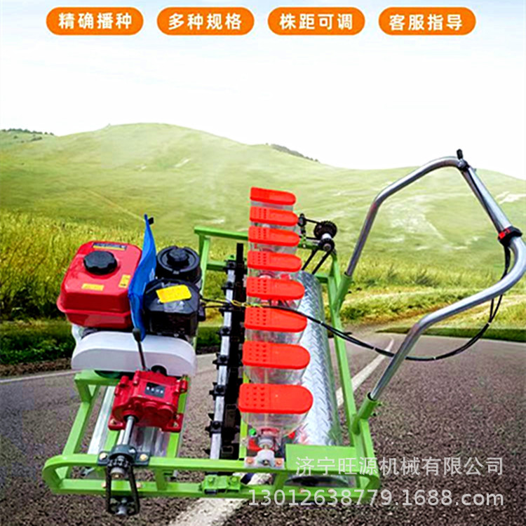 汽油自走式蔬菜播种机 油菜香菜手推精播机 株距可调蔬菜播种机