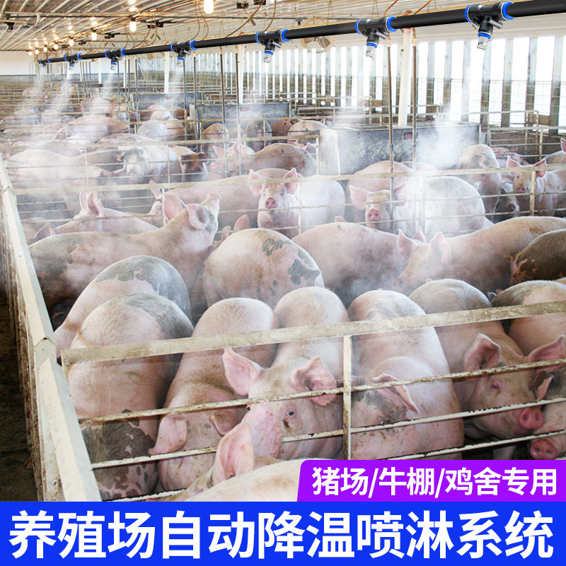 养殖场养猪场鸡鸭牛舍定时雾化喷雾喷淋消毒加湿系统降温设备喷头