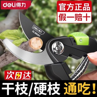 得力工具剪枝修枝剪刀果树园艺剪修剪树枝剪刀花艺剪省力大粗枝剪