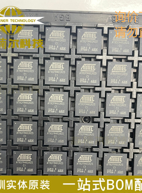 AT91FR40162SB-CI 全新原装 封装BGA121 存储芯片 一站式BOM配单