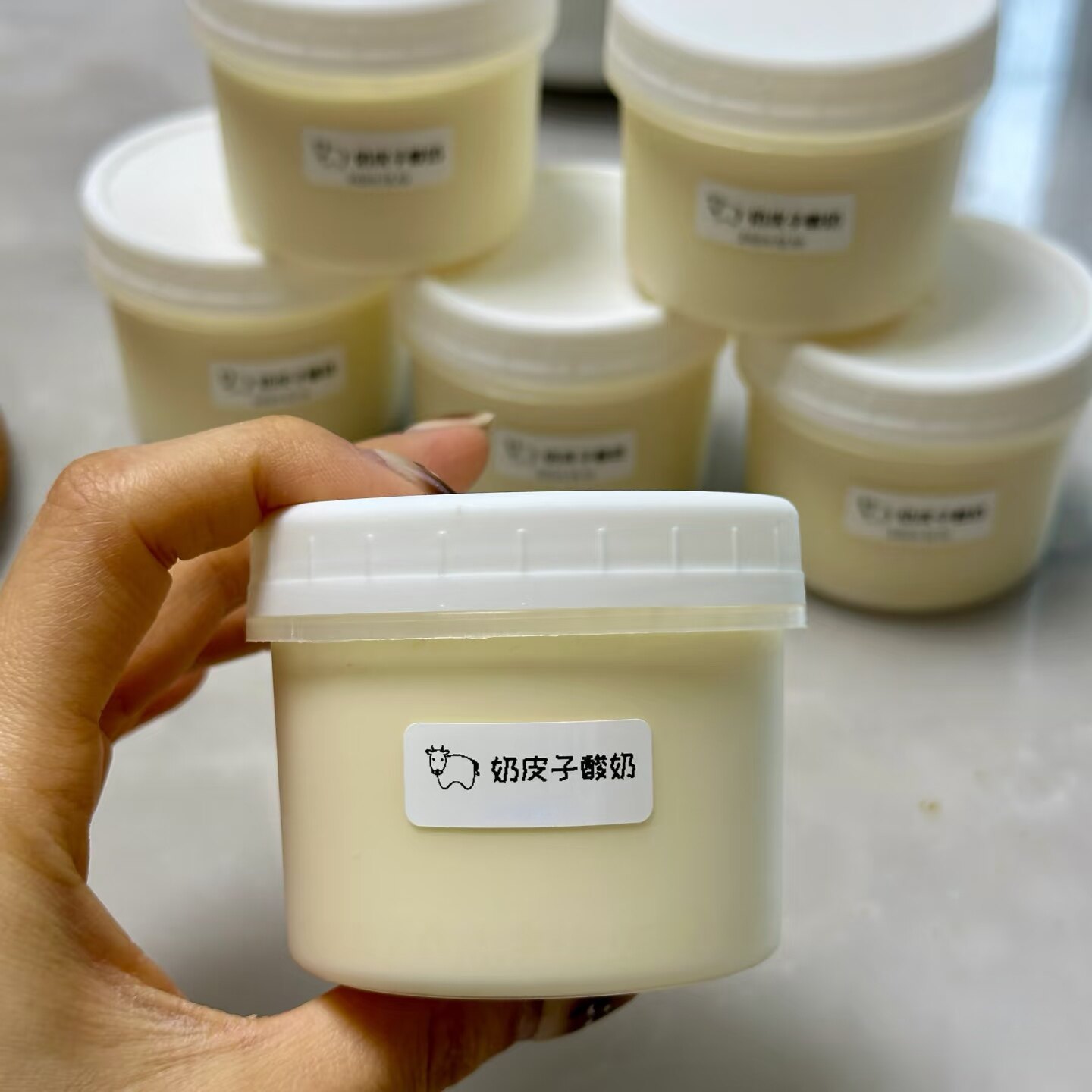 奶皮子酸奶包装盒耐高温食品级120/160/200ml布丁冰淇淋杯干噎罐