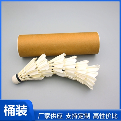 羽毛球筒装羽毛球3只6只12装软泡沫头娱乐训练网销热款羽球