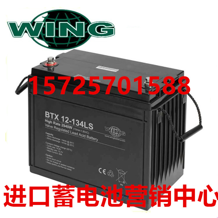 WING蓄电池BTX12-134LS直流屏