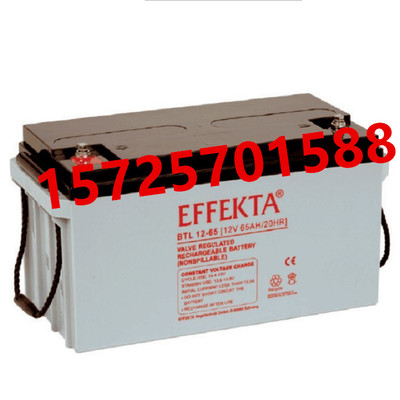 EFFEKTA蓄电池BTL12-65UPS电源