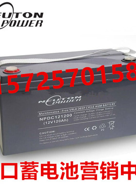 NEUTONPOWER蓄电池NPDC121200直流屏UPS电源应急系统12V120AH电池