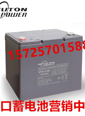 NEUTONPOWER蓄电池NPDC12550直流屏UPS电源应急系统用12V55AH电池