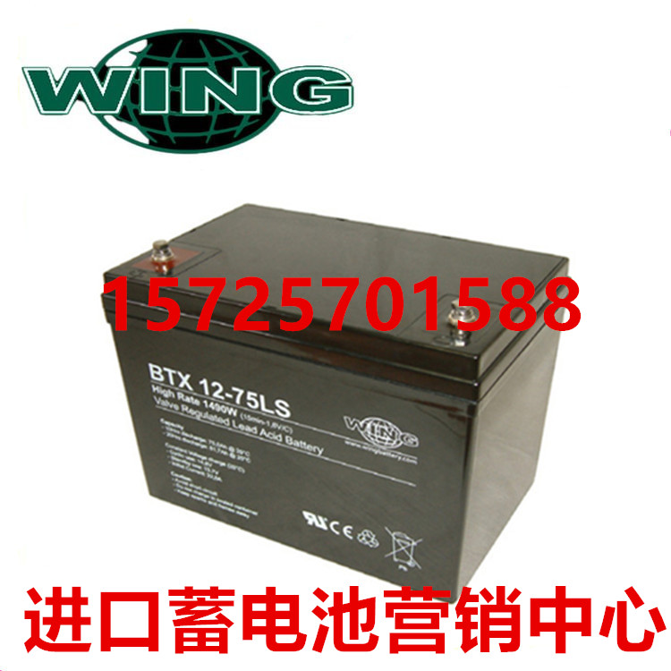 WING蓄电池BTX12-75LS通讯基站