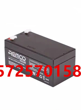 REMCO蓄电池RM12-3 电梯消防医疗设备精密仪器仪表用12V3.2AH电池