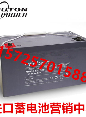 NEUTONPOWER蓄电池NPDC121000直流屏UPS电源应急系统12V100AH电池
