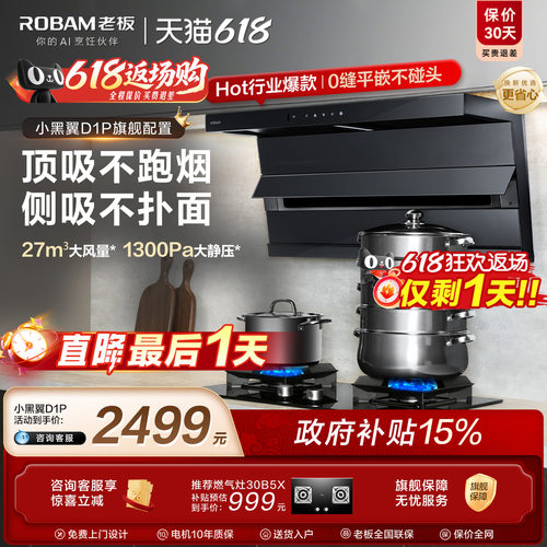 热销第一！老板小黑翼D1P升级款