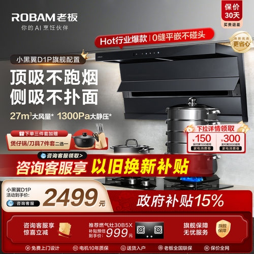 热销第一！老板小黑翼D1P升级款