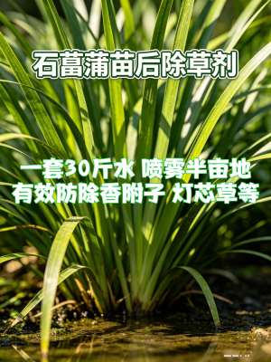 石菖蒲苗后除草剂 有效防除莎草香附子等 下单前咨询在线客服