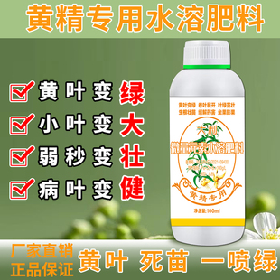 黄精老虎姜中药材专用叶面肥生根壮苗水溶肥黄叶枯萎烂根绿叶肥料