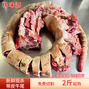 新鲜带皮整条原切正宗黄牛尾巴现杀整根带牛尾椎骨肉生鲜食品