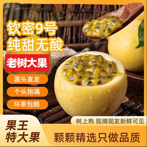 正宗钦密9号黄金百香果