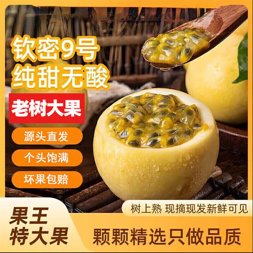 正宗钦密9号黄金百香果