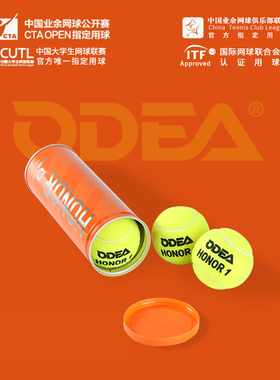 ODEA 欧帝尔网球oder网球3粒铁罐装 弹跳好训练用网球