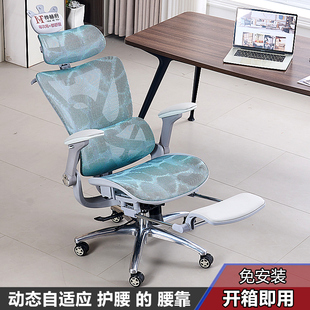 【免安装】人体工学椅子老板椅电脑椅家用护腰办公椅舒适电竞座椅