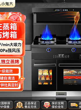火星人小鬼大集成灶家用一体灶
