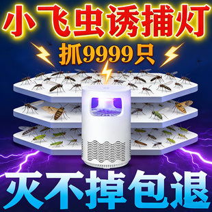 小飞虫诱捕灯蛾蠓克星驱虫药室内家用防虫摆摊灯下消灭杀夜蛾神器