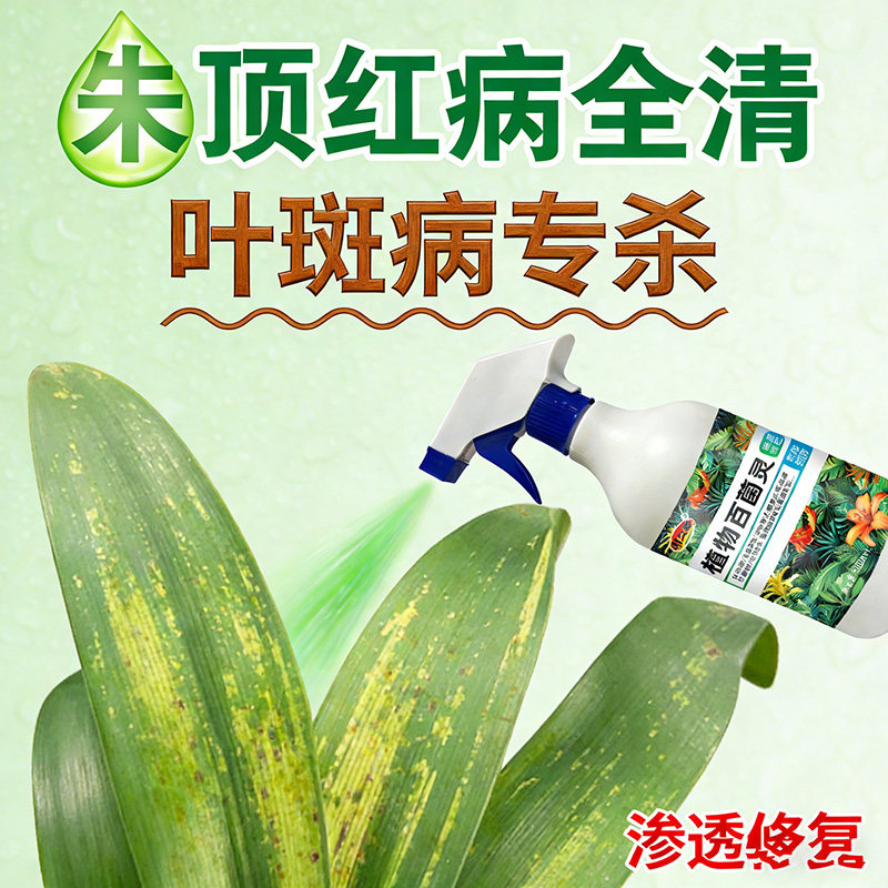 朱顶红红斑病红锈病烂根专用药杀菌剂催花爆芽素种球根营养液肥料,鲜花速递/花卉仿真/绿植园艺,家庭园艺肥料,淘宝优惠券,粉丝福利购,淘宝优惠卷