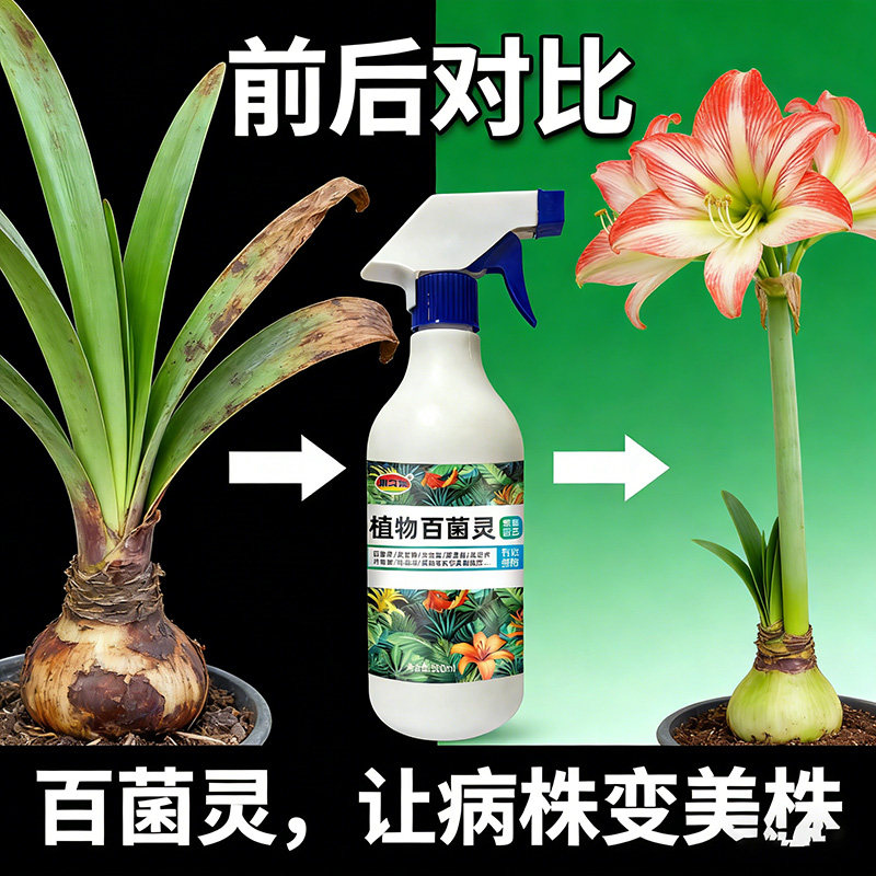 朱顶红红斑病红锈病烂根专用药杀菌剂催花爆芽素种球根营养液肥料,鲜花速递/花卉仿真/绿植园艺,家庭园艺肥料,淘宝优惠券,粉丝福利购,淘宝优惠卷