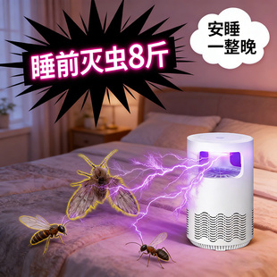 小飞虫诱捕灯蛾蠓克星驱虫药室内家用防虫摆摊灯下消灭杀夜蛾神器