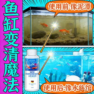 鱼缸净水剂一滴清消毒杀菌养鱼专用防止鱼缸水变浑发绿水质清澈剂
