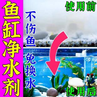 鱼缸净水剂一滴清消毒杀菌养鱼专用防止鱼缸水变浑发绿水质清澈剂
