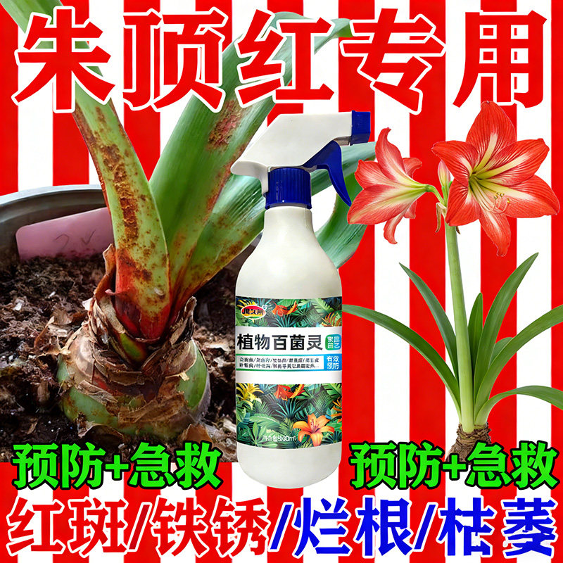 朱顶红红斑病红锈病烂根专用药杀菌剂催花爆芽素种球根营养液肥料,鲜花速递/花卉仿真/绿植园艺,家庭园艺肥料,淘宝优惠券,粉丝福利购,淘宝优惠卷