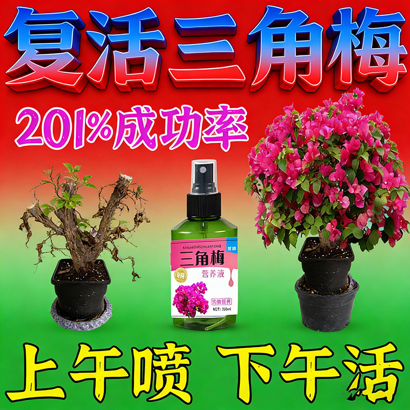三角梅开花专用肥硫酸磷钾花肥料促花养花家用盆栽喜酸植物营养肥,鲜花速递/花卉仿真/绿植园艺,家庭园艺肥料,淘宝优惠券,粉丝福利购,淘宝优惠卷