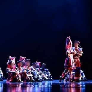 舞蹈演出表演服装 同款 专业定制 勉帕情长长 男女民族舞群舞