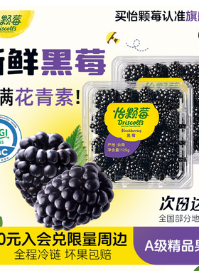【云南黑莓】Driscoll's怡颗莓黑莓新鲜水果鲜果季酸甜125g/盒
