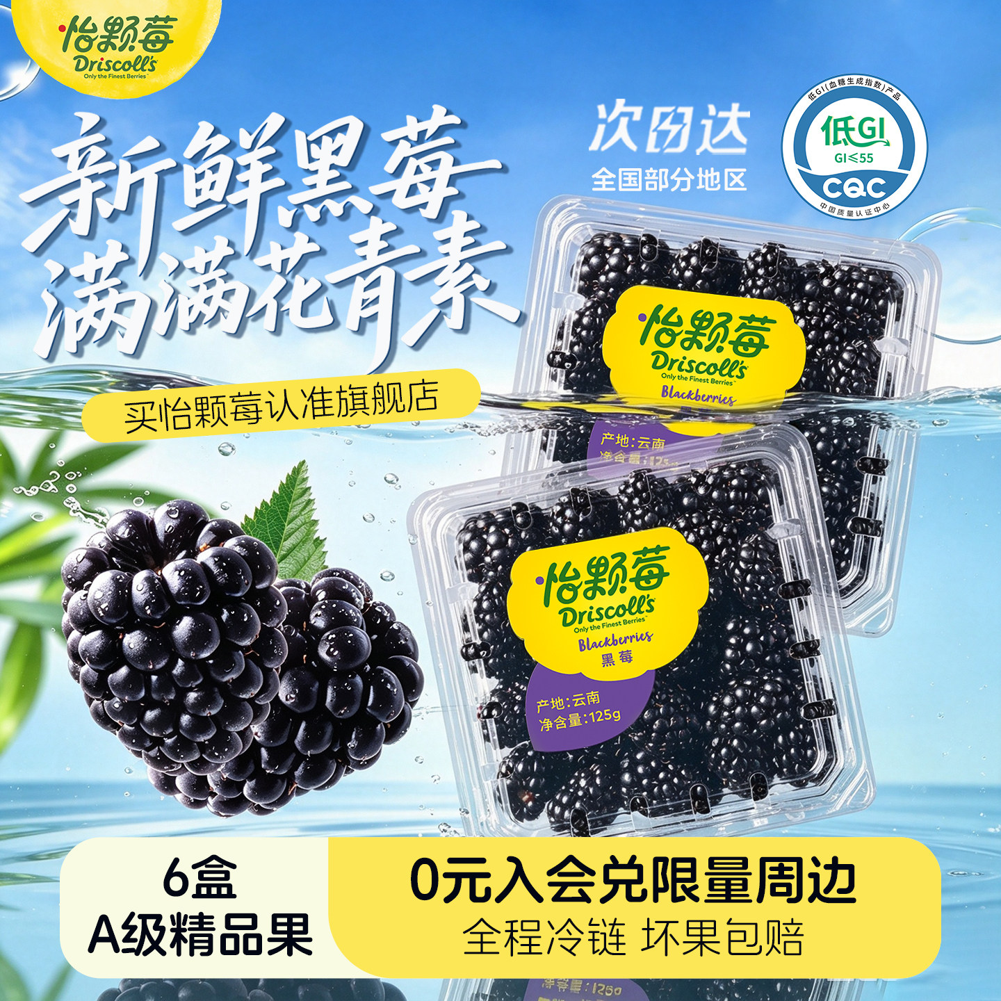 怡颗莓黑莓新鲜水果应季大果