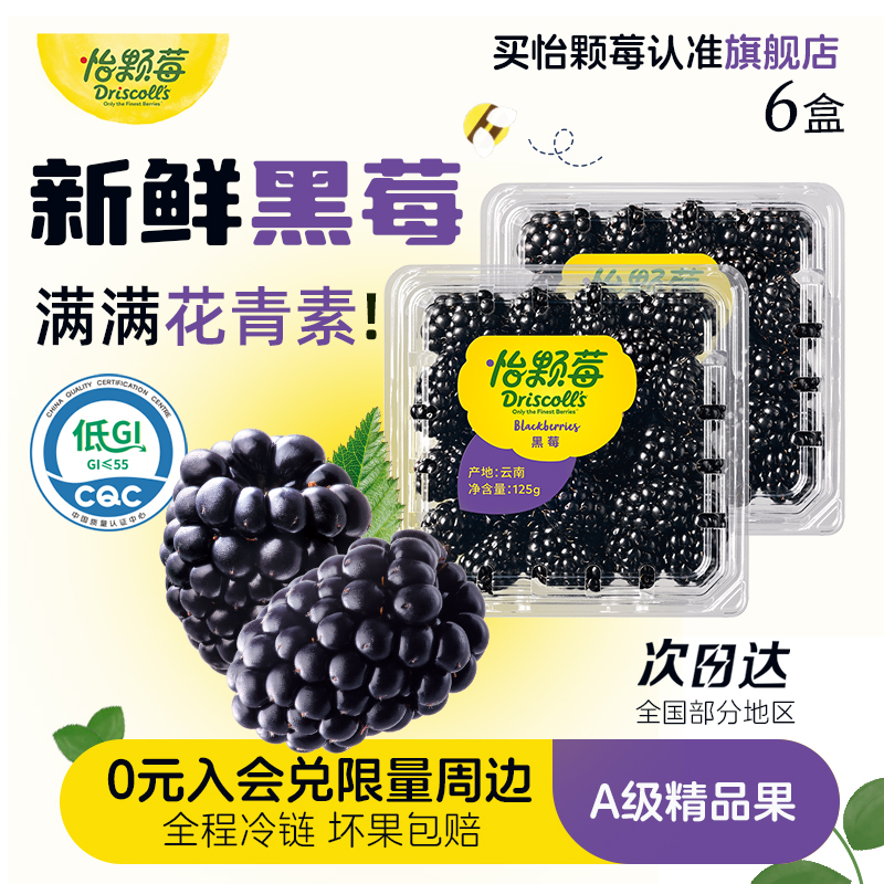 怡颗莓黑莓新鲜水果应季大果