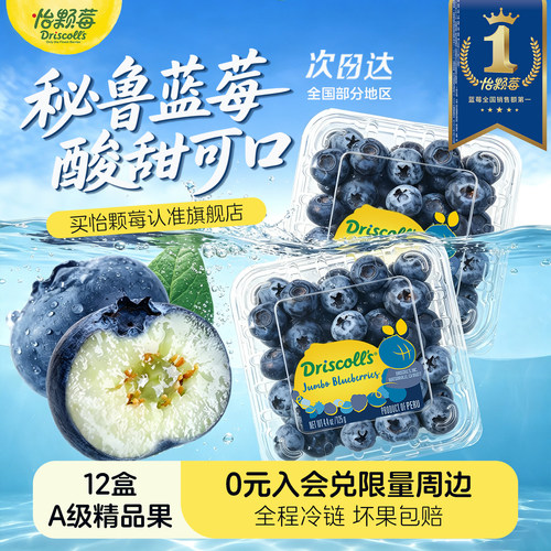 怡颗莓秘鲁新鲜蓝莓鲜果大果