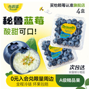 鲜果酸甜可口水果旗舰店 怡颗莓秘鲁进口新鲜蓝莓当季 秘鲁蓝莓